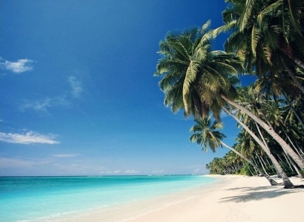 Apartamento Luxury Coral Dream